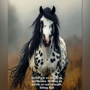 ❤️ Gentle ❤️